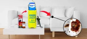 Kompletny poradnik: środki na pluskwy, komary, myszy i inne szkodniki Jakie środki na pluskwy wybrać w 2025 roku