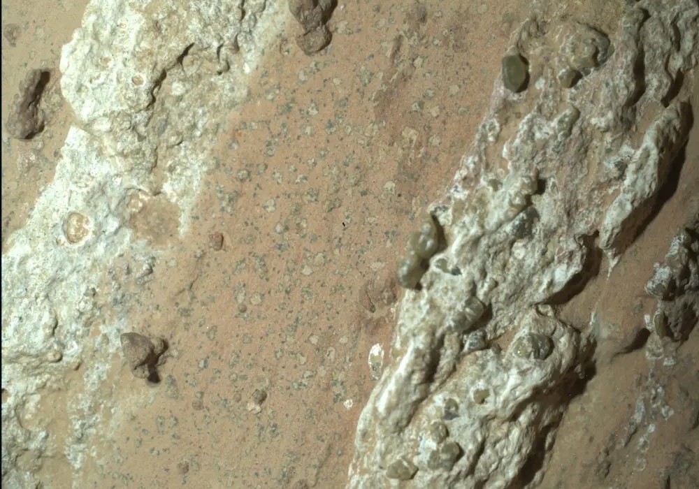 Perseverance, łazik NASA, odkrył w lipcu 2024 roku charakterystyczne „leopard spots” na czerwonawej skale nazwanej „Cheyava Falls” w kraterze Jezero na Marsie. Naukowcy uważają, że plamy te mogą wskazywać, iż miliardy lat temu reakcje chemiczne zachodzące w tej skale mogły sprzyjać istnieniu życia mikrobiologicznego, choć rozważane są również inne wyjaśnienia.Źródło: NASA/JPL-Caltech/MSSS