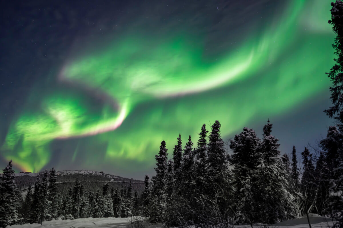 Czarne zorze polarne na Alasce