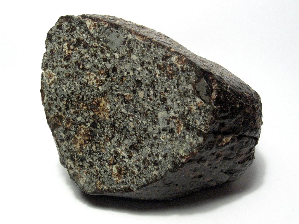 Meteoryt kamienny - NWA 869, chondryt L4-6 z widocznymi chondrami i płatkami metalu