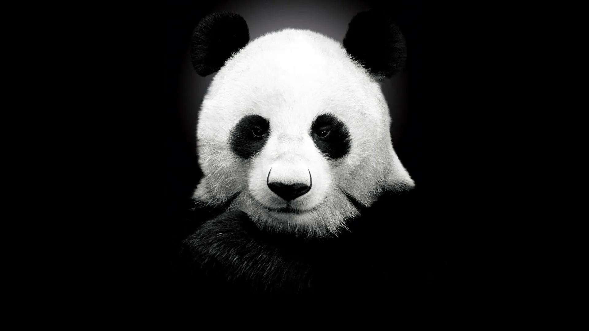 Pandabuy