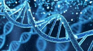 DNA i warianty genetyczne związane z osobowością
