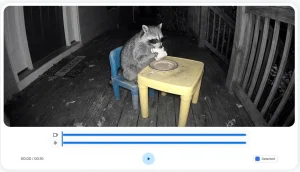SynthID Detector wykrywający znak wodny AI w materiale wideo – Źródło: Google